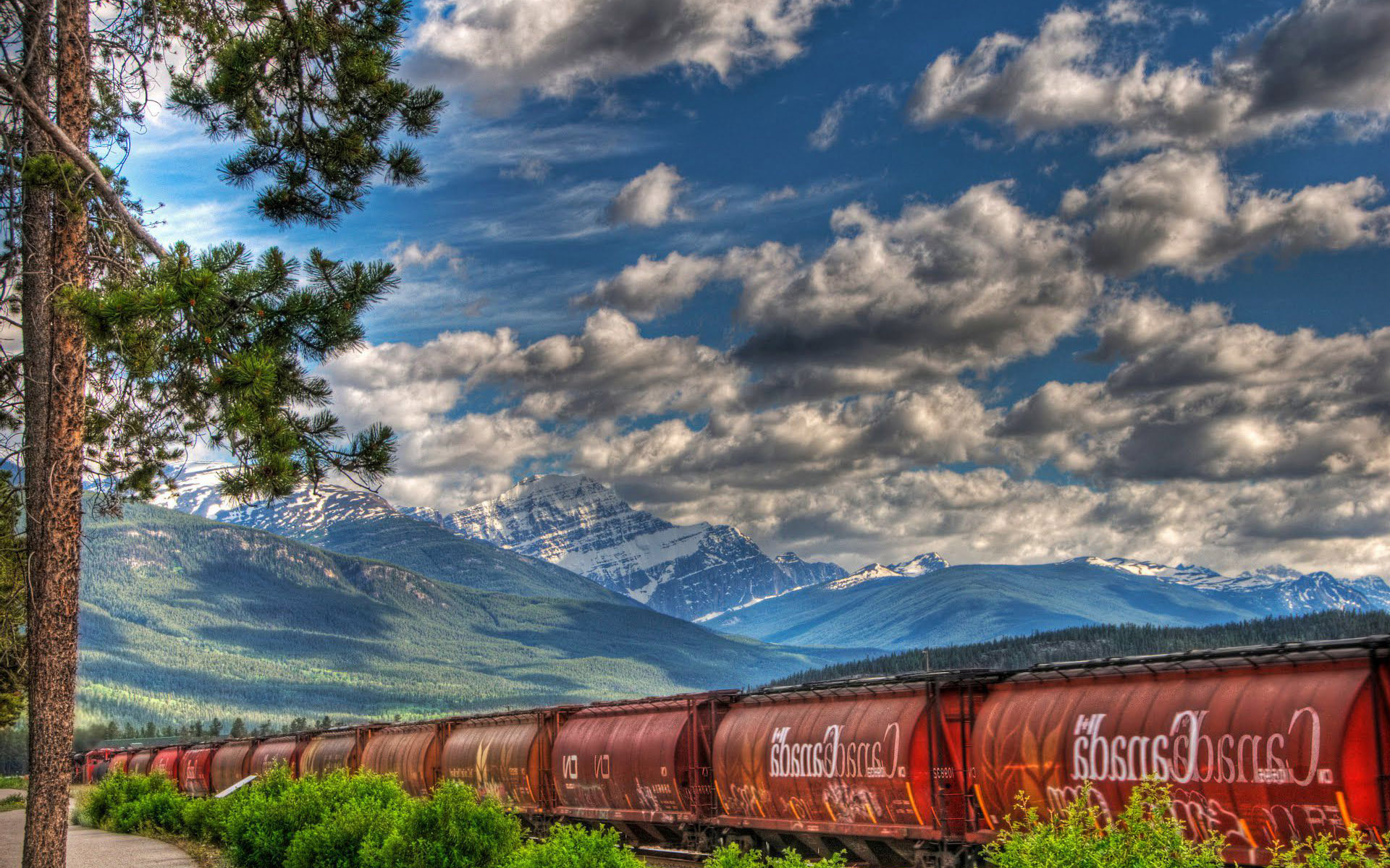 قطار در کوه